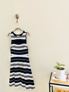 Anthropologie Navy and White Striped Dress
